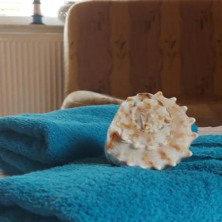 Folta Władysławowo