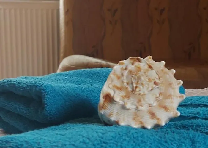 Folta Władysławowo